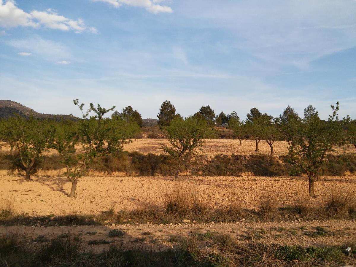 Casa Rural El Carmen De La Sierra Yecla Εξωτερικό φωτογραφία