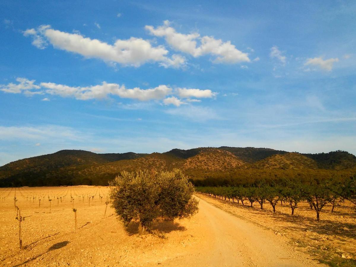 Casa Rural El Carmen De La Sierra Yecla Εξωτερικό φωτογραφία
