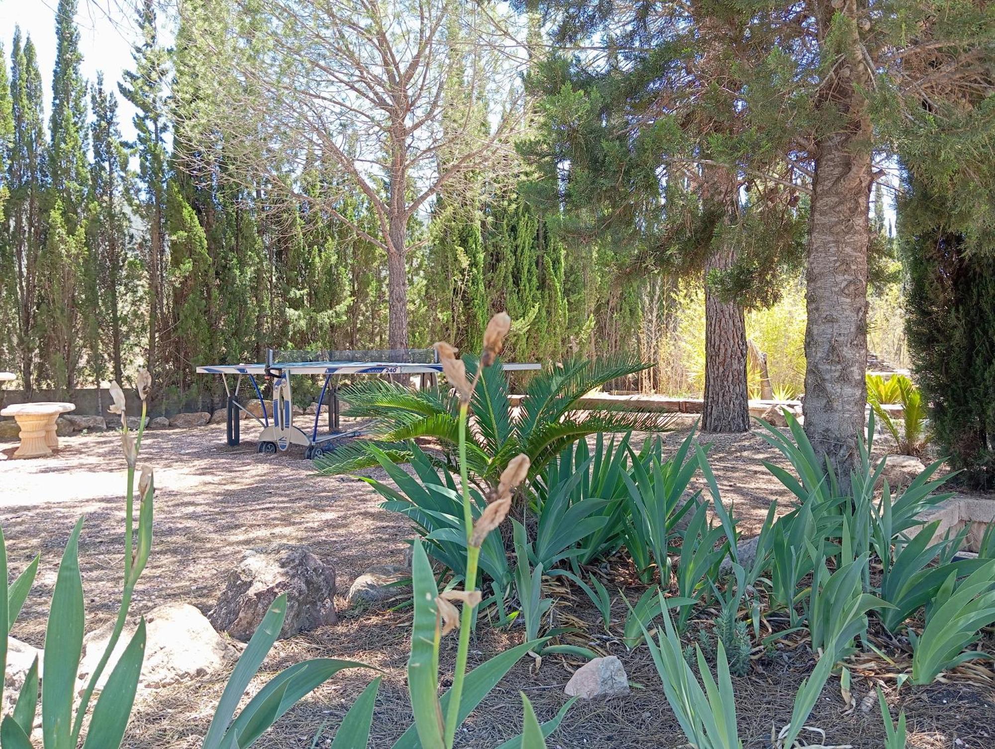 Casa Rural El Carmen De La Sierra Yecla Εξωτερικό φωτογραφία