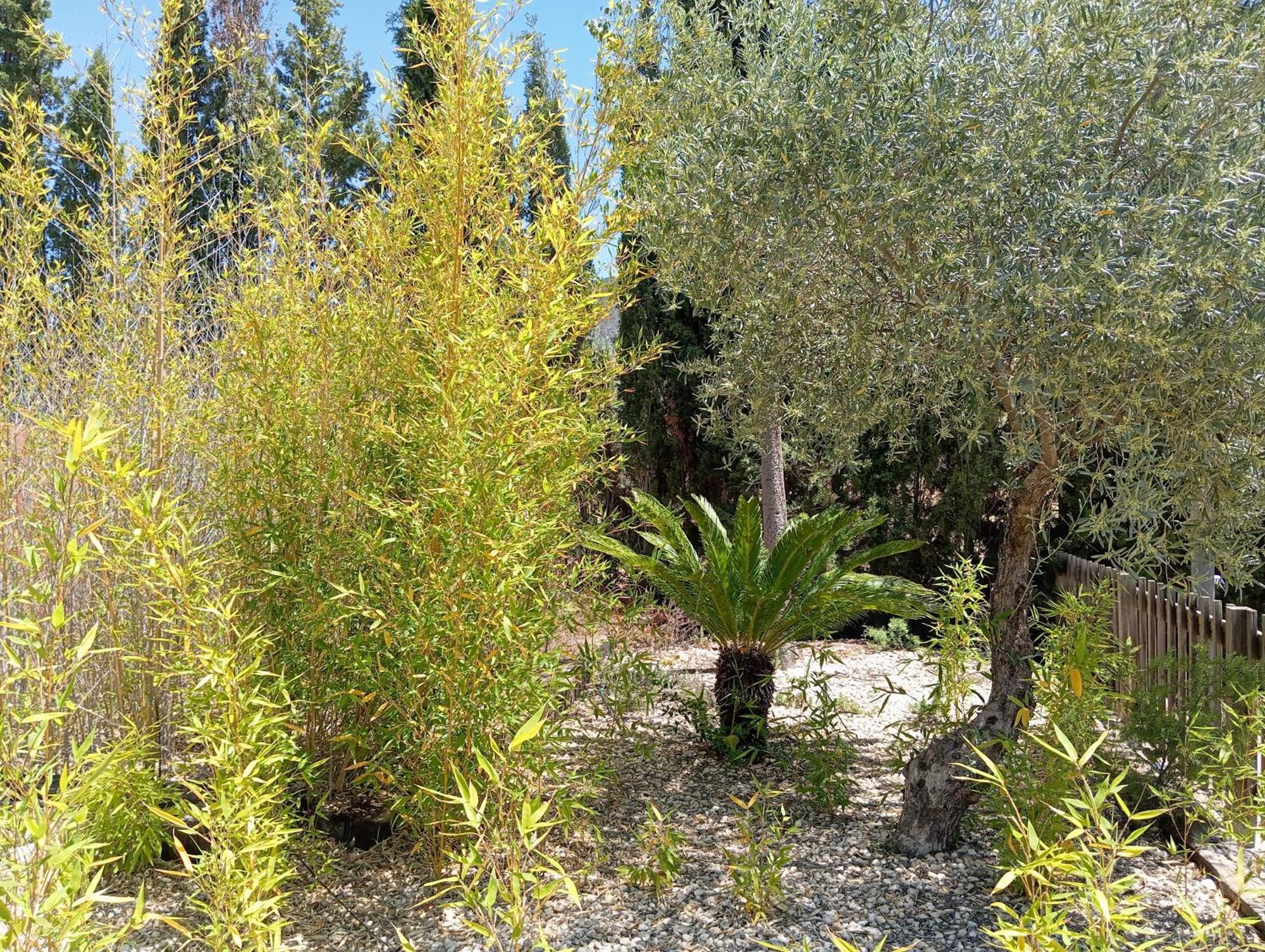Casa Rural El Carmen De La Sierra Yecla Εξωτερικό φωτογραφία